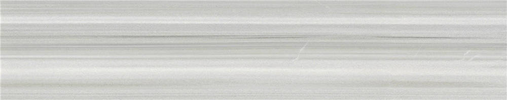 H21519